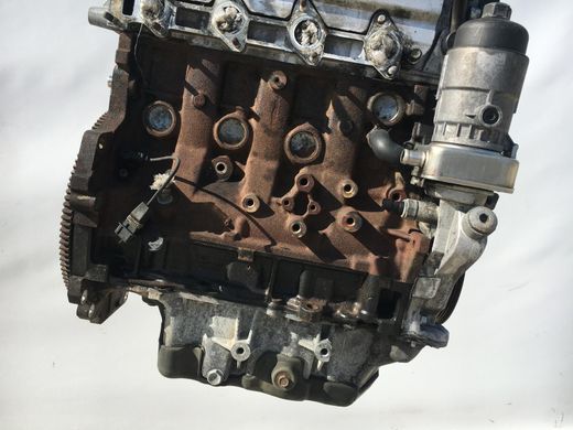 Двигун CHEVROLET CAPTIVA 2006-2011 (2,0L CDI (Z20S1)) 96862841, 96862841, A