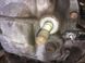 Редуктор задний NISSAN PATHFINDER R51 2005-2014 C8301EB310, C8301EB310, B