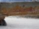 Чверть автомобіля задня права VOLVO V60 Y20 2013-2018 31349781, 31349781, B