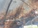 Чверть автомобіля задня ліва TOYOTA AVENSIS T27 2009-2011 61602-05140, 61602-05140, B