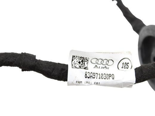 Проводка дверей передня права AUDI Q3 F3 2018-2025 83A971030PQ, 83A971030PQ, A