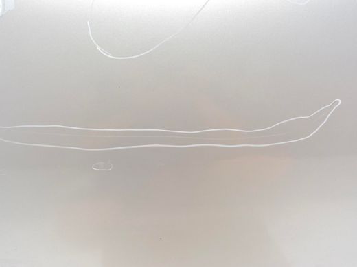 Двері передні праві JAGUAR XF X250 2008-2011 C2Z2060, C2Z2060, B