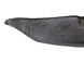 Пильник переднього крила правий VOLVO V60 Y20 2013-2018 (31297974) 31265385, 31265385, A