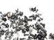 Комплект болтів і гайок салону NISSAN NAVARA D40 2005-2010 S0271, S0271, A