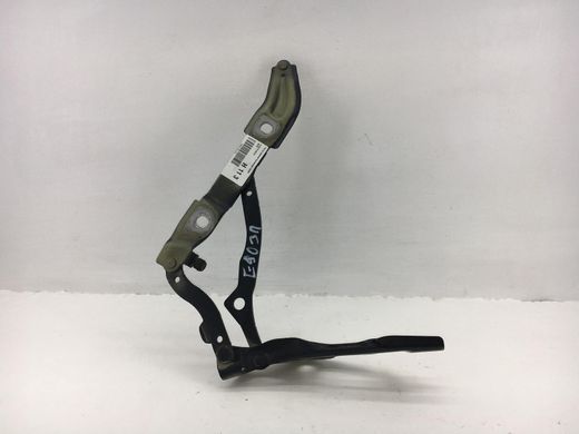 Петля кришки багажника права BMW 320 E90 2005-2008 41627210676, 41627210676, A