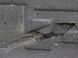 Захист днища правий NISSAN ROGUE T33 2023- (дефект) 74814-6RA0A, 74814-6RA0A, C