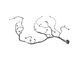 Проводка переднього бампера HONDA CR-V 2006-2010 32100SWYE10, 32100SWYE10, A