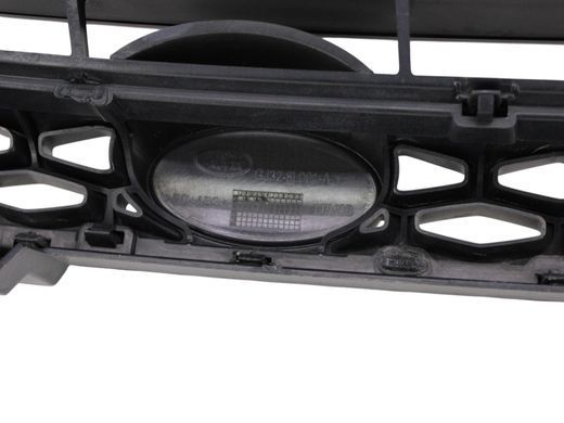 Решітка радіатора LAND ROVER RANGE ROVER EVOQUE L538 2015-2018 (GJ328l001A) LR066107, LR066107, A