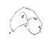 Проводка парктроника передня JAGUAR XF X250 2008-2011 AX2314369CA, AX2314369CA, A